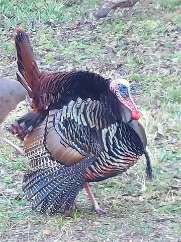 $650,000 | 1798 Hideaway Lane, Edgewater, FL 32132