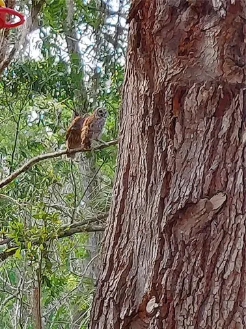 $650,000 | 1798 Hideaway Lane, Edgewater, FL 32132