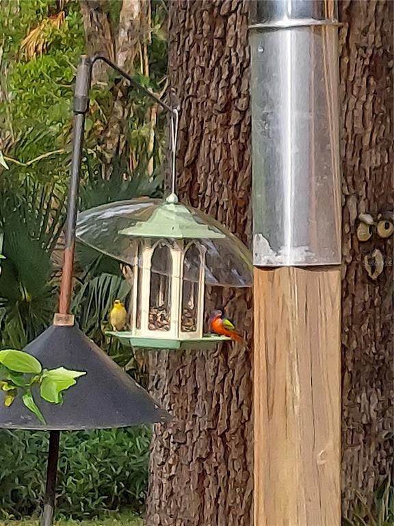 1798 Hideaway Lane Edgewater, FL 32132 - Photo 86 of 99