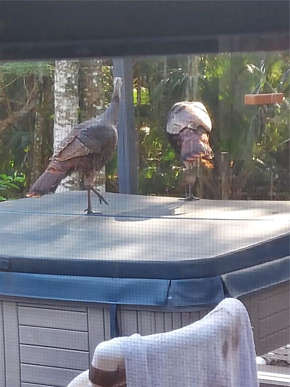 1798 Hideaway Lane Edgewater, FL 32132 - Photo 88 of 99