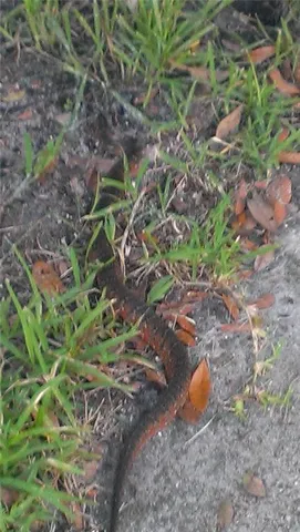 $650,000 | 1798 Hideaway Lane, Edgewater, FL 32132