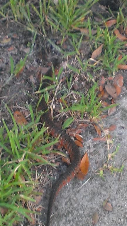 1798 Hideaway Lane Edgewater, FL 32132 - Photo 93 of 99