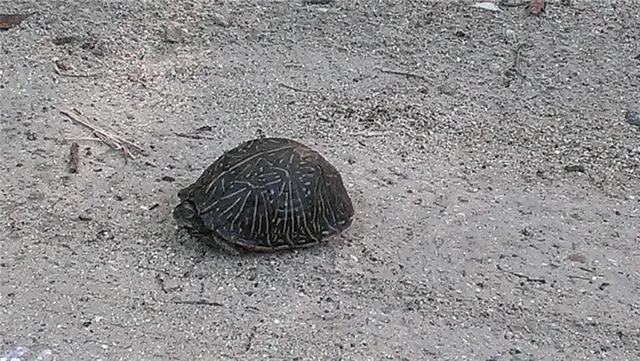 $650,000 | 1798 Hideaway Lane, Edgewater, FL 32132