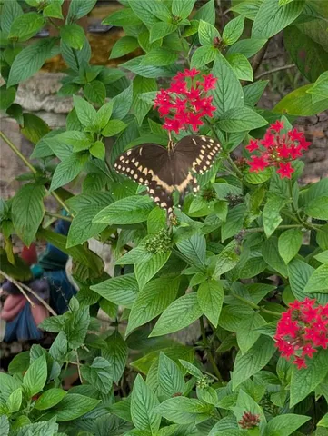 $650,000 | 1798 Hideaway Lane, Edgewater, FL 32132