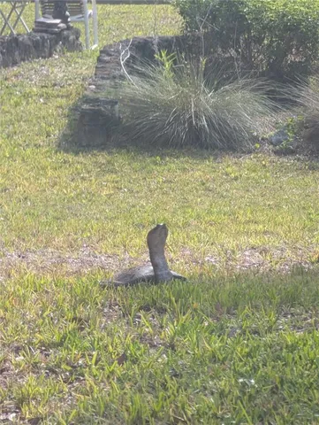 $650,000 | 1798 Hideaway Lane, Edgewater, FL 32132