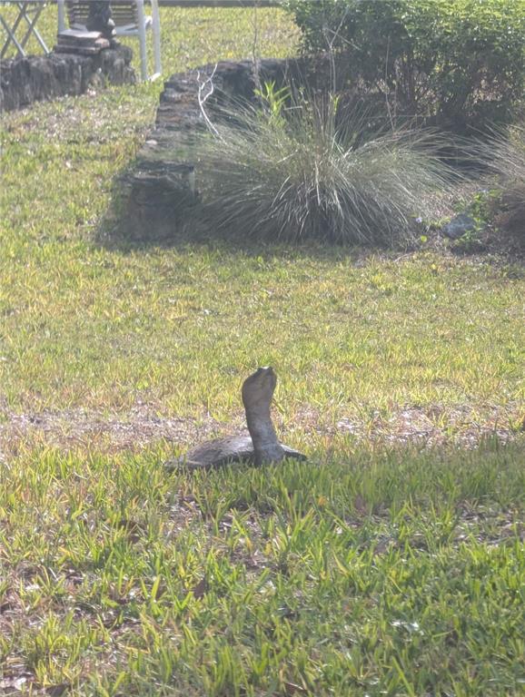 1798 Hideaway Lane Edgewater, FL 32132 - Photo 96 of 99