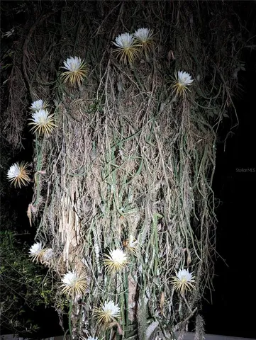 $650,000 | 1798 Hideaway Lane, Edgewater, FL 32132