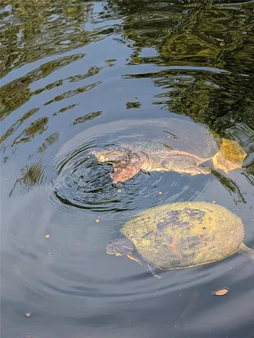 $650,000 | 1798 Hideaway Lane, Edgewater, FL 32132