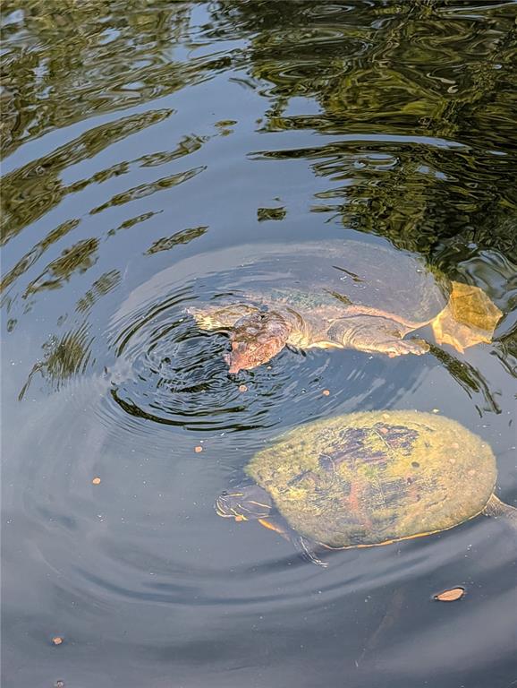 1798 Hideaway Lane Edgewater, FL 32132 - Photo 98 of 99