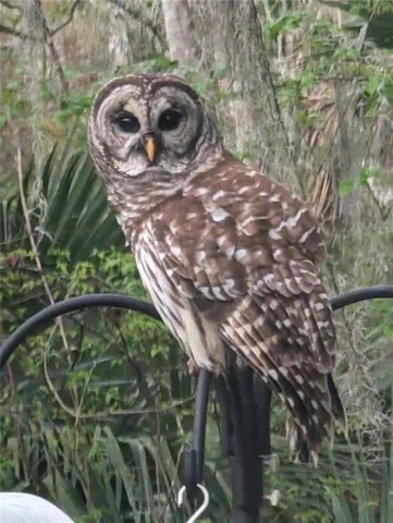 $650,000 | 1798 Hideaway Lane, Edgewater, FL 32132