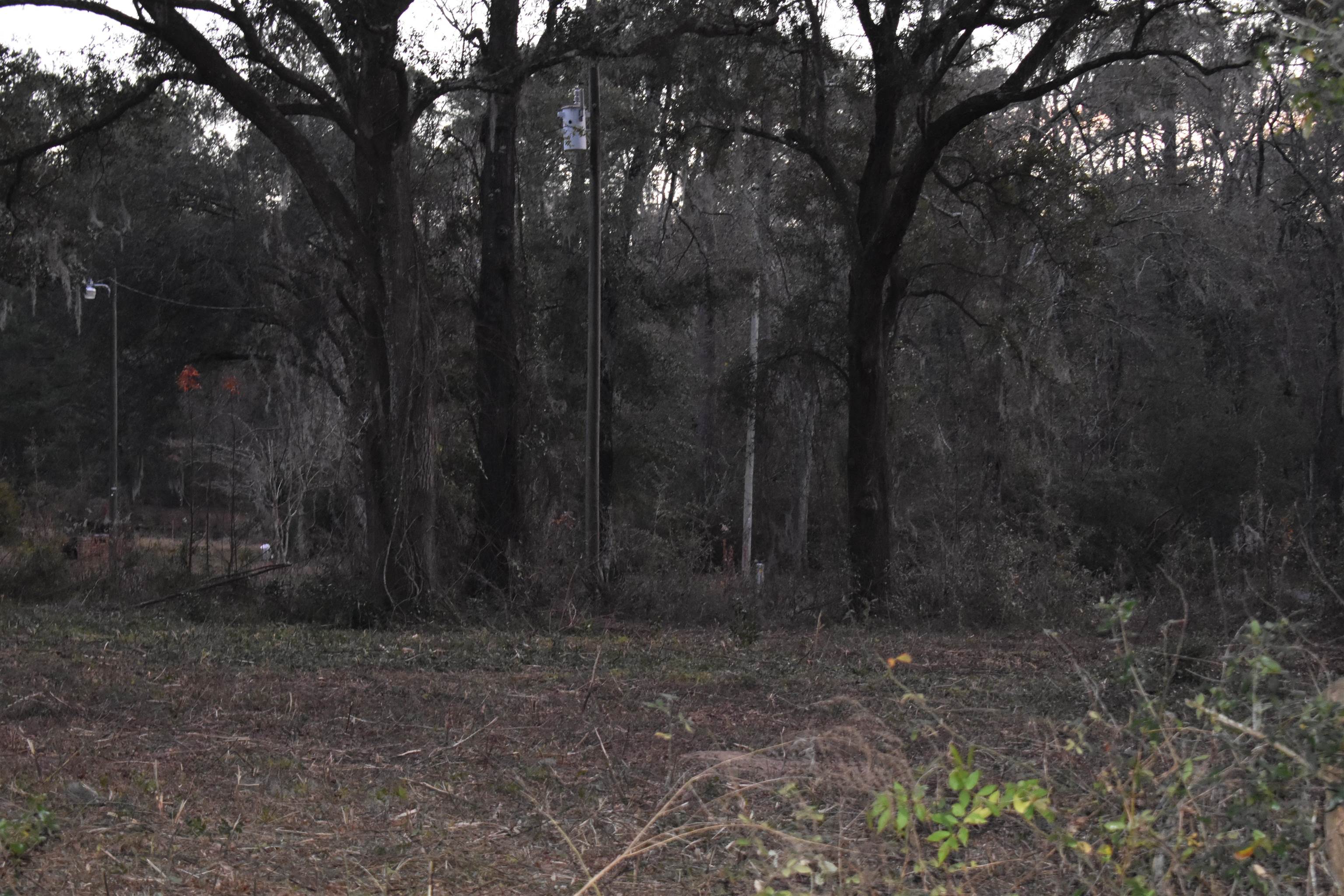 245 Whippoorwill Road Monticello, FL 32344 - Photo 3 of 7 Gallery Image 3