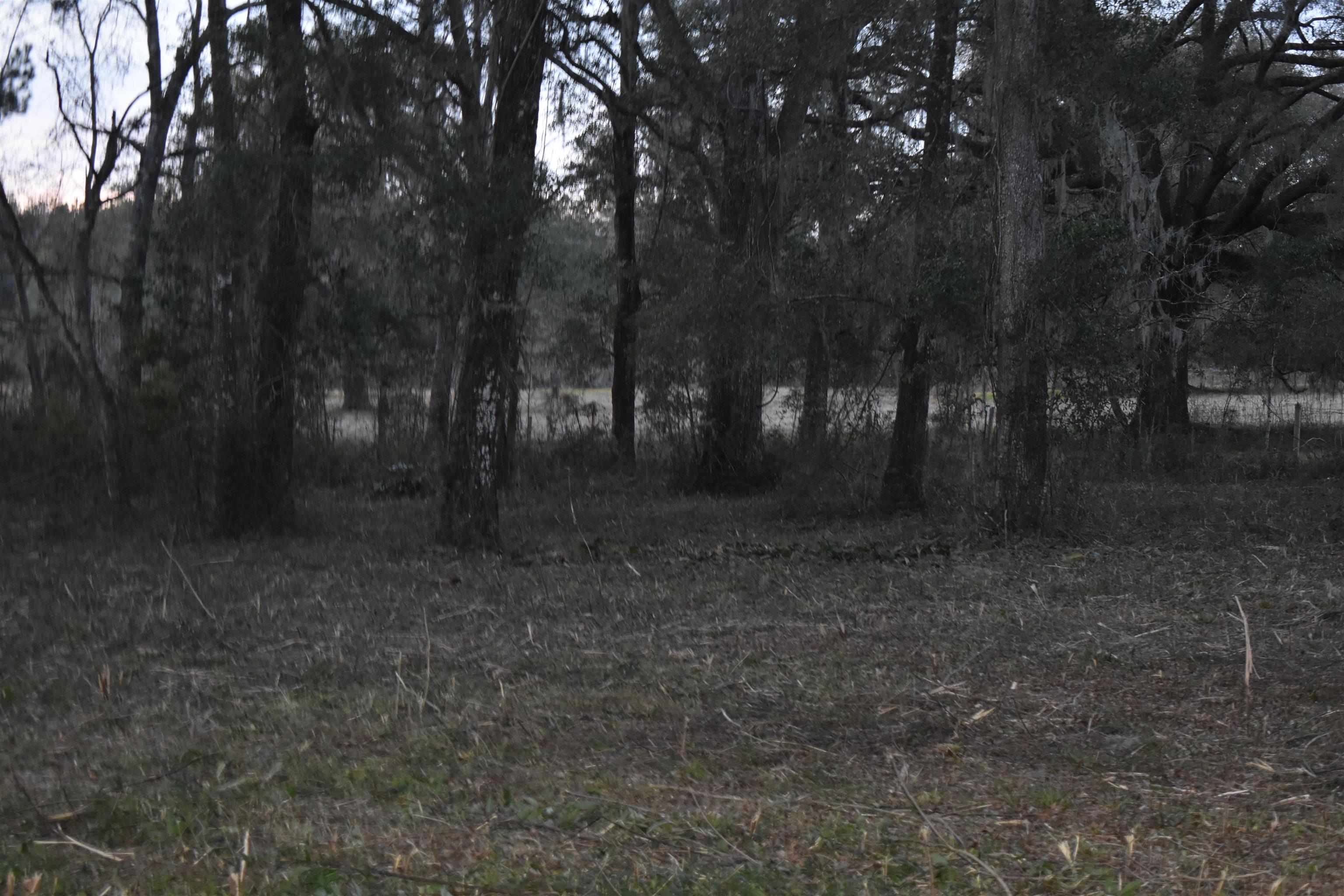 245 Whippoorwill Road Monticello, FL 32344 - Photo 7 of 7 Gallery Image 7