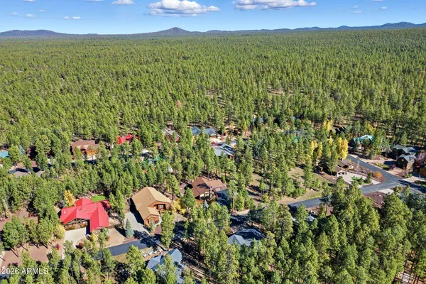 an aerial view of residential houses with outdoor space and trees