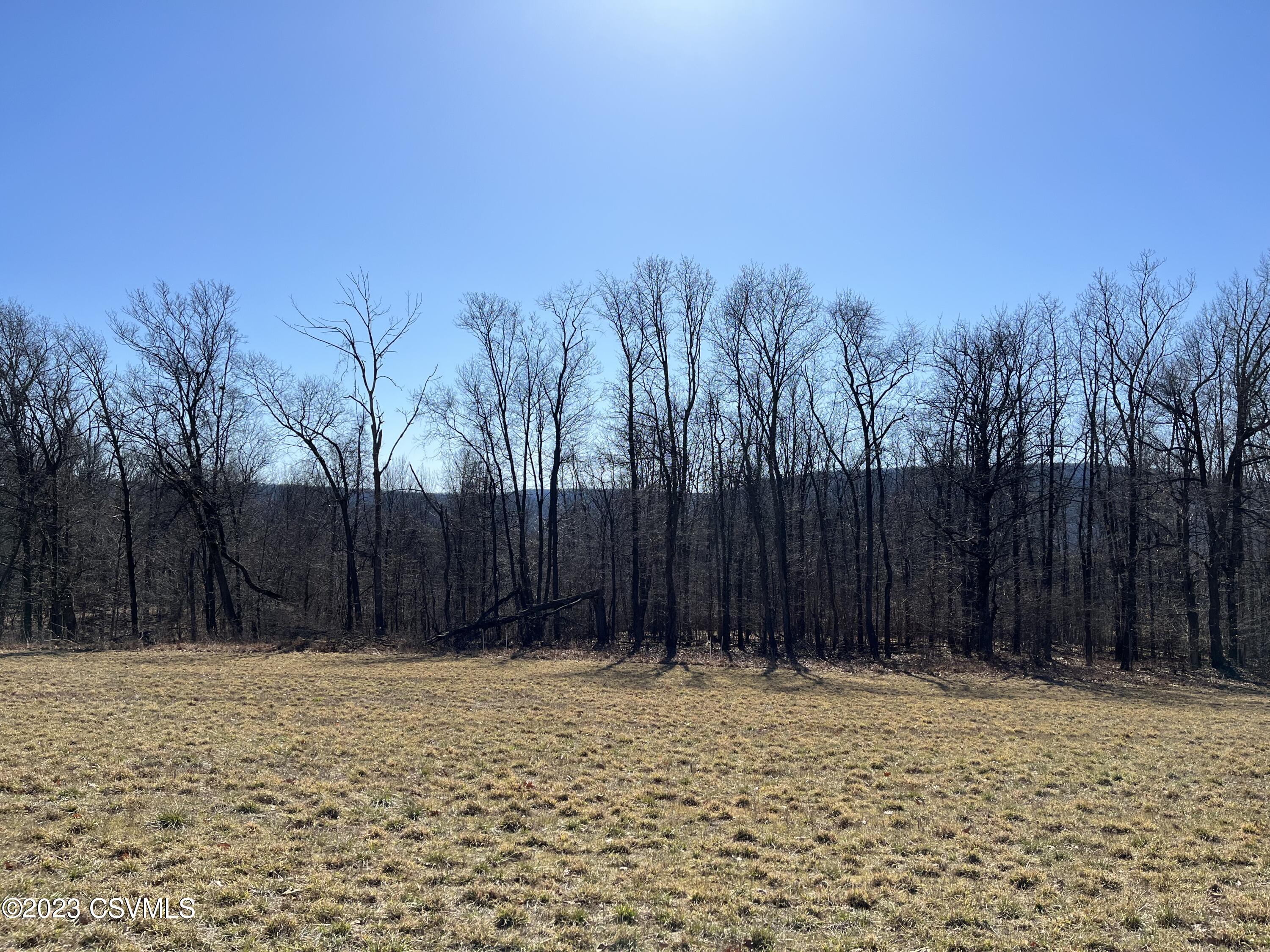 Lot No Lot Road Paxinos, PA 17860 - Photo 5 of 10 Gallery Image 5