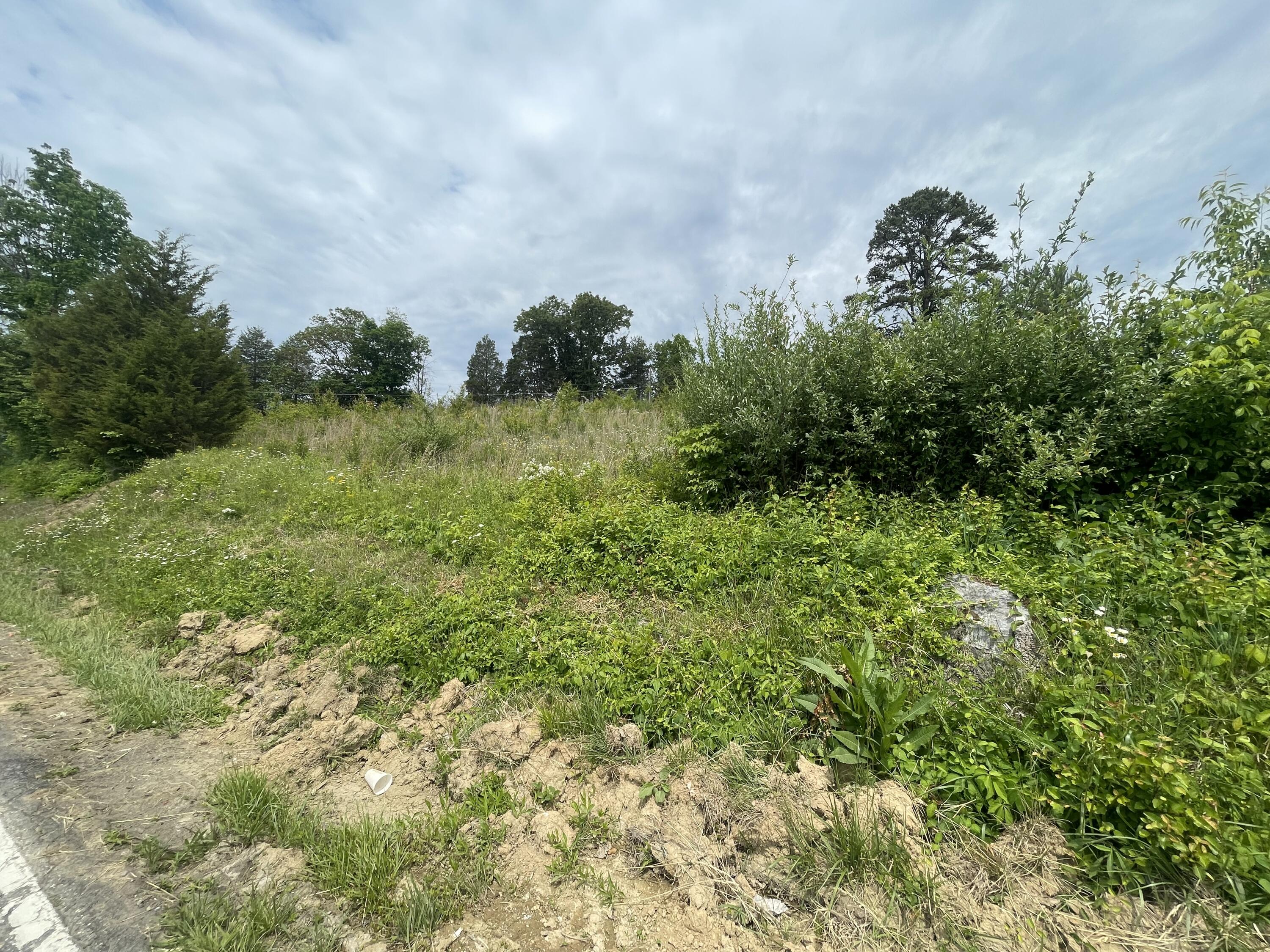 Tbd Diana Road, Unit 13 Kingsport, TN 37660 - Photo 1 of 5 84EBB65C-4546-4505-872B-8517DB77957D