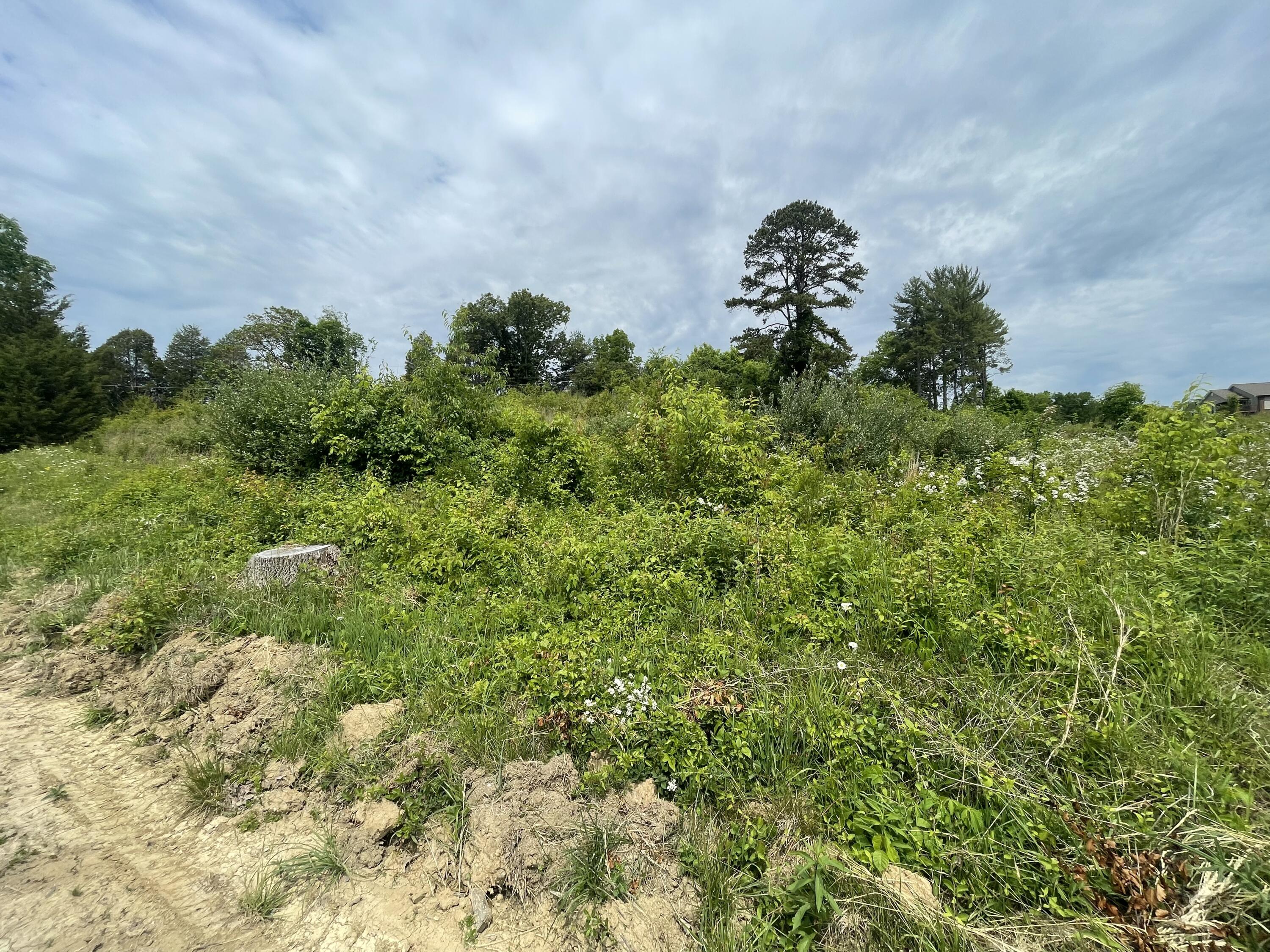 Tbd Diana Road, Unit 13 Kingsport, TN 37660 - Photo 2 of 5 E46E0BBA-8015-402B-9F54-DCE484ADB687