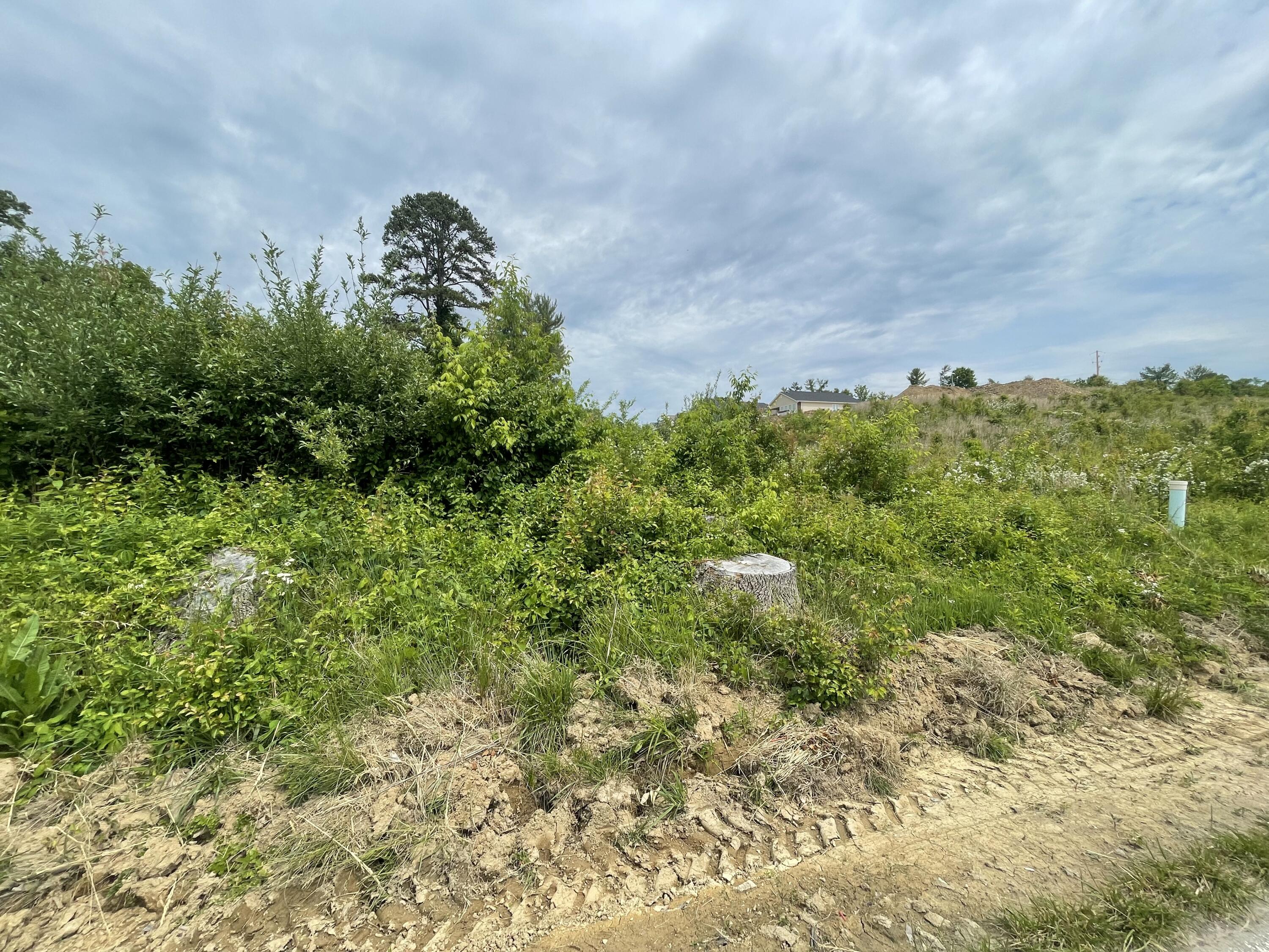 Tbd Diana Road, Unit 13 Kingsport, TN 37660 - Photo 4 of 5 279697C1-BEC4-4C6A-B2A6-34DA946B834A