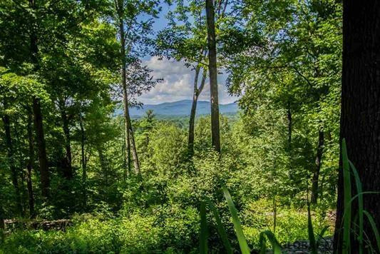 279 B Chestnut Ridge Road Queensbury, NY 12804 - Photo 22 of 25 Photo 22