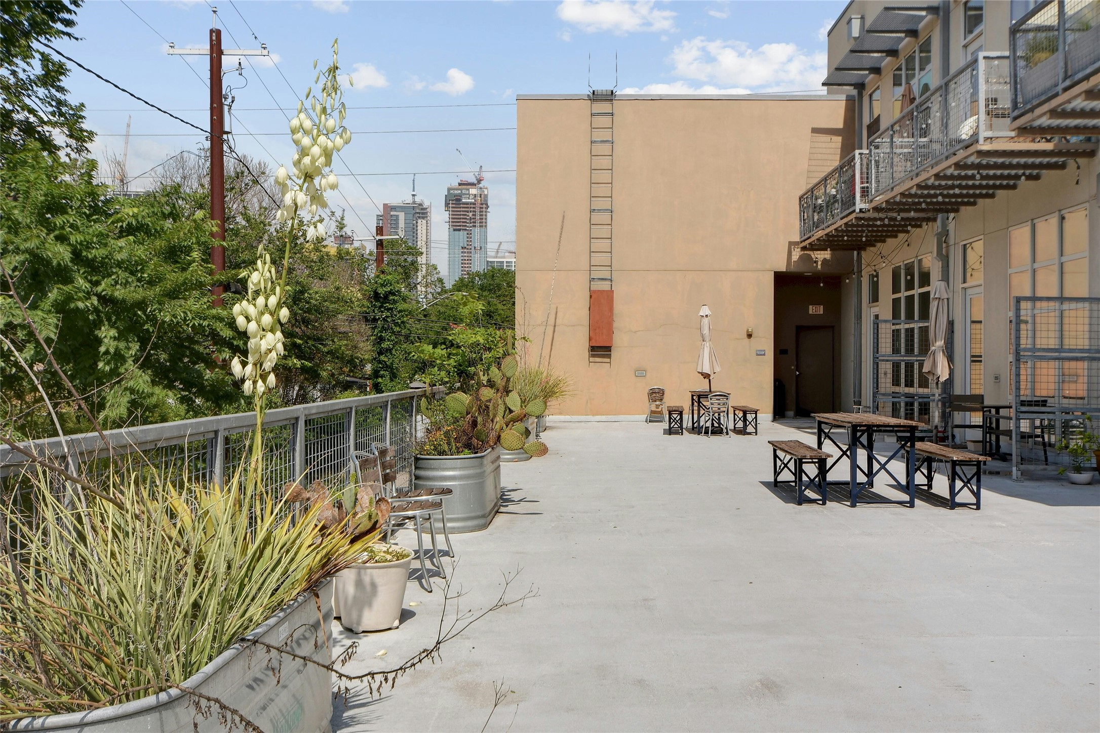 1601 East Cesar Chavez Street, Unit 201 Austin, TX 78702 - Photo 28 of 30 a view of a patio with couches table and chairs and potted plants