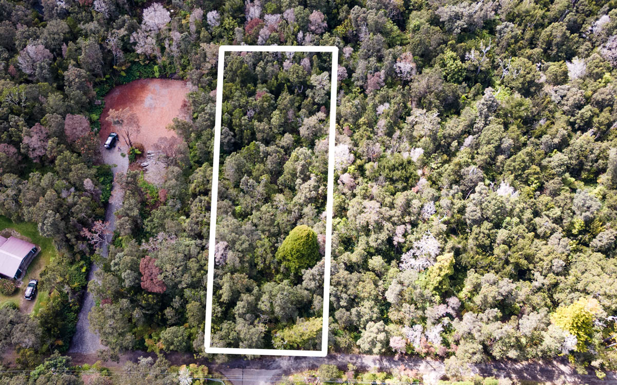an aerial view of a residential apartment building and trees