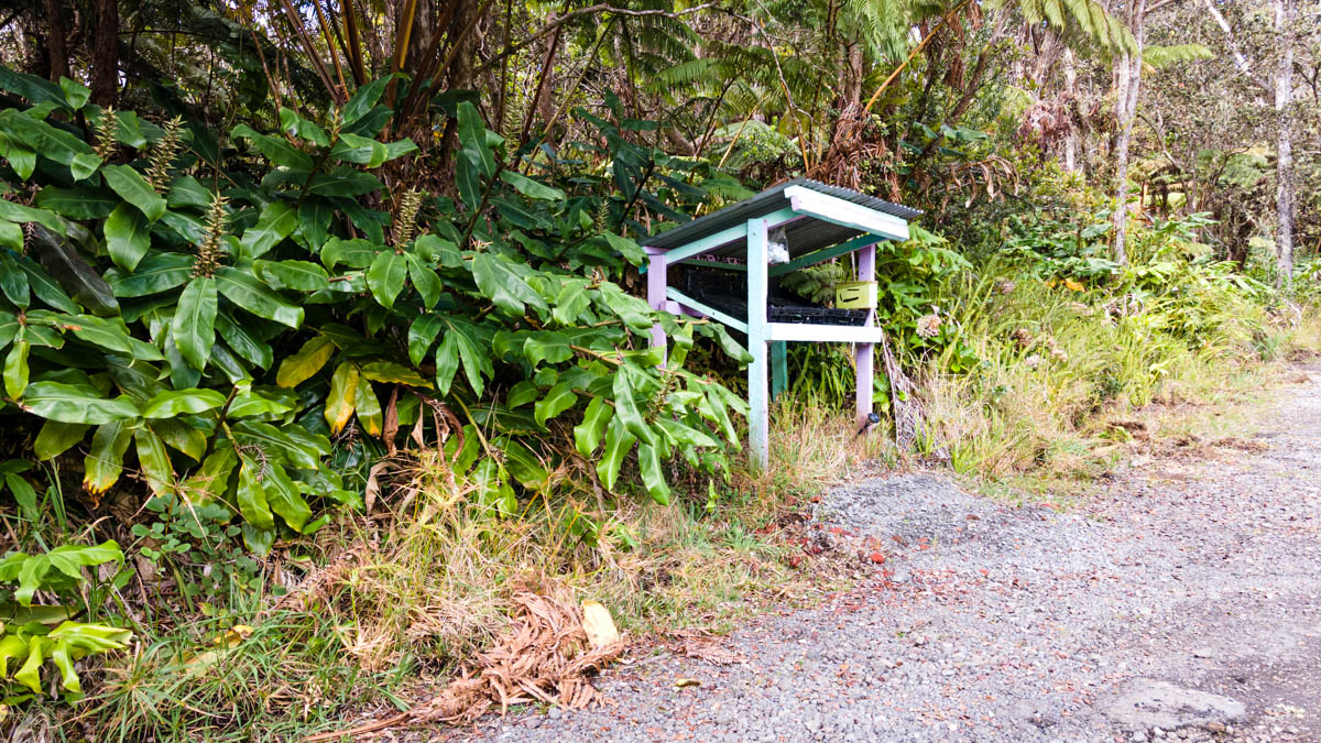 19-4255 Lot 22 Ainahau Road Volcano, HI 96785 - Photo 4 of 7 a backyard of a house with lots of green space