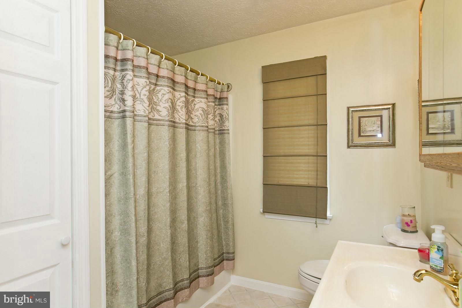 319 Pine Road Stephenson, VA 22656 - Photo 18 of 29 Bath on main level