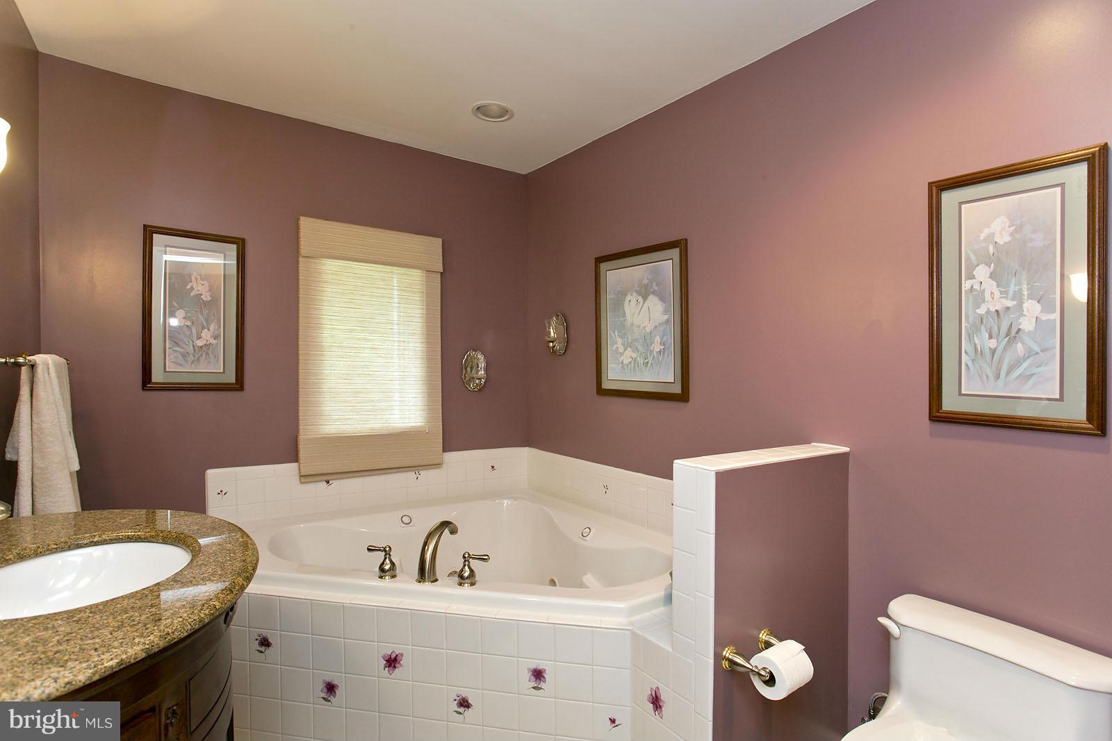 319 Pine Road Stephenson, VA 22656 - Photo 25 of 29 Basement Bathroom