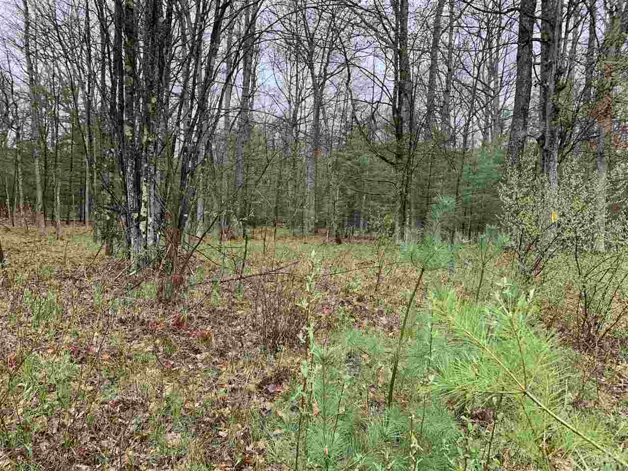 40 East Hawley Road Quincy, MI 49082 - Photo 4 of 5