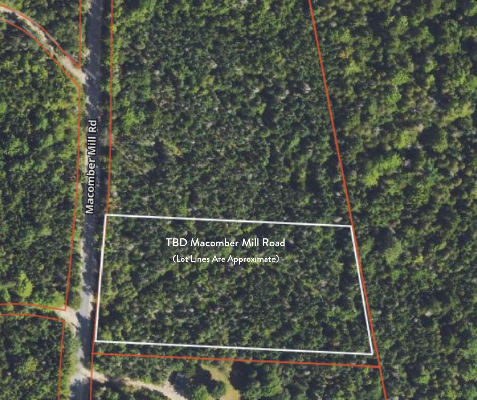 12 Part Of Road Franklin, ME 04634 - Photo 1 of 14 M 12, Part of Lot 31