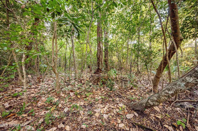 $589,000 | 1103 Le Voyageur Drive, Ocean Springs, MS 39564