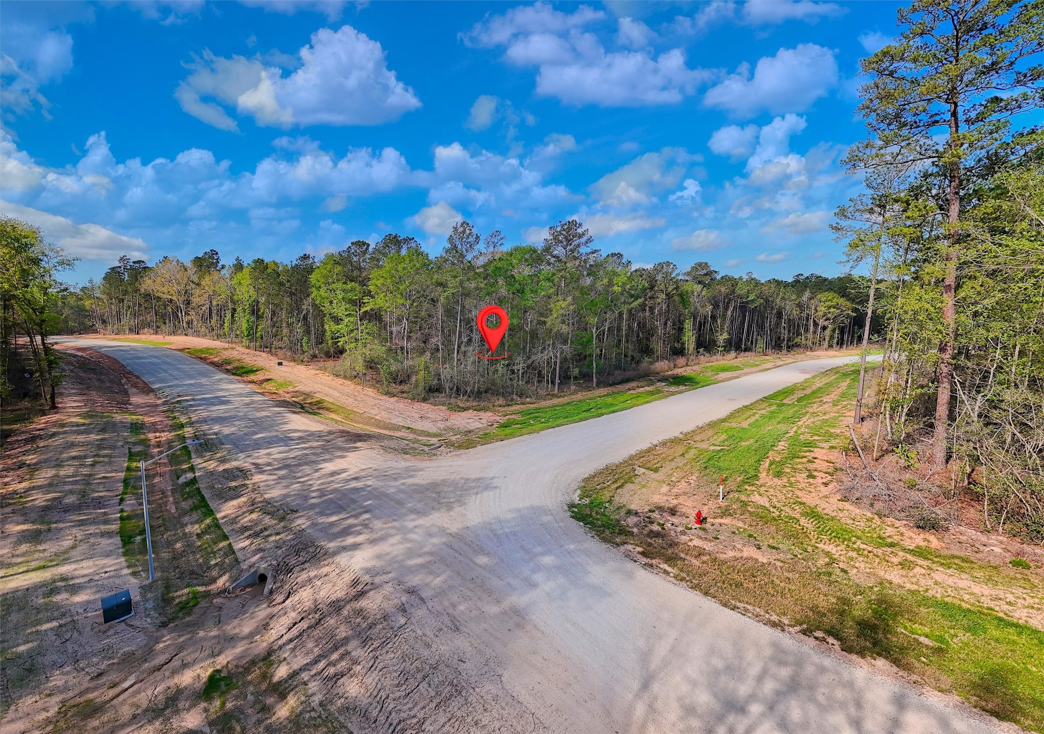 111 Rustic Ranch Drive New Waverly, TX 77358 - Photo 3 of 9 Ground-level view of this spacious corner lot showcasing the generous frontage and natural wooded setting—ideal for a custom home with privacy and space.