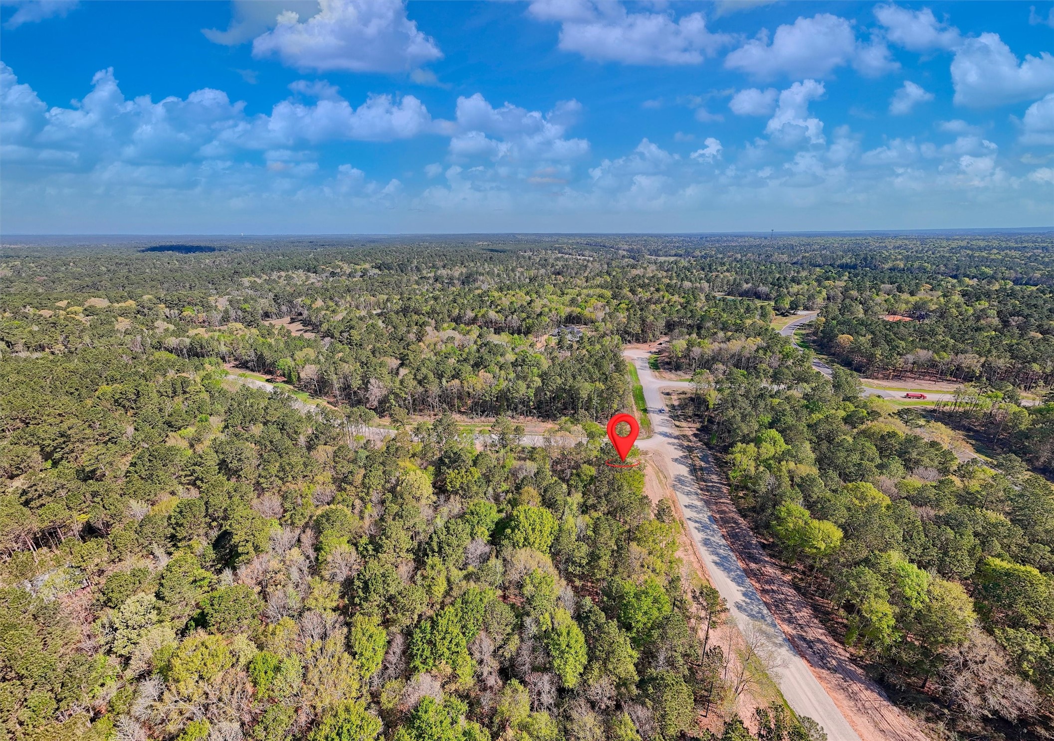 111 Rustic Ranch Drive New Waverly, TX 77358 - Photo 6 of 9