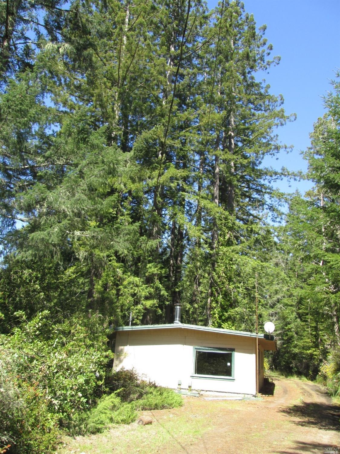 a view of a yard
