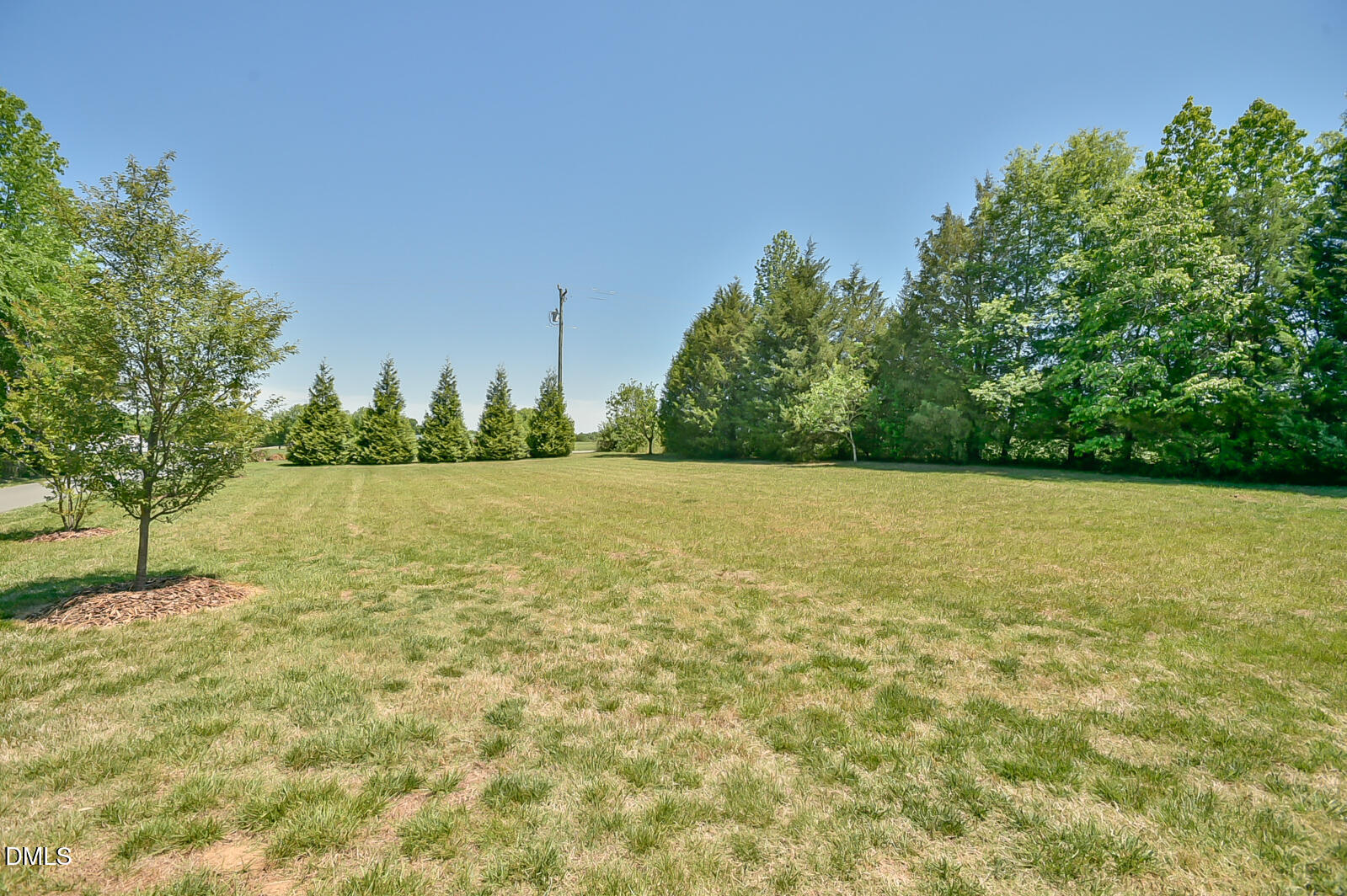 7046 Holts Store Road Burlington, NC 27215 - Photo 36 of 40 View North from Front Yard