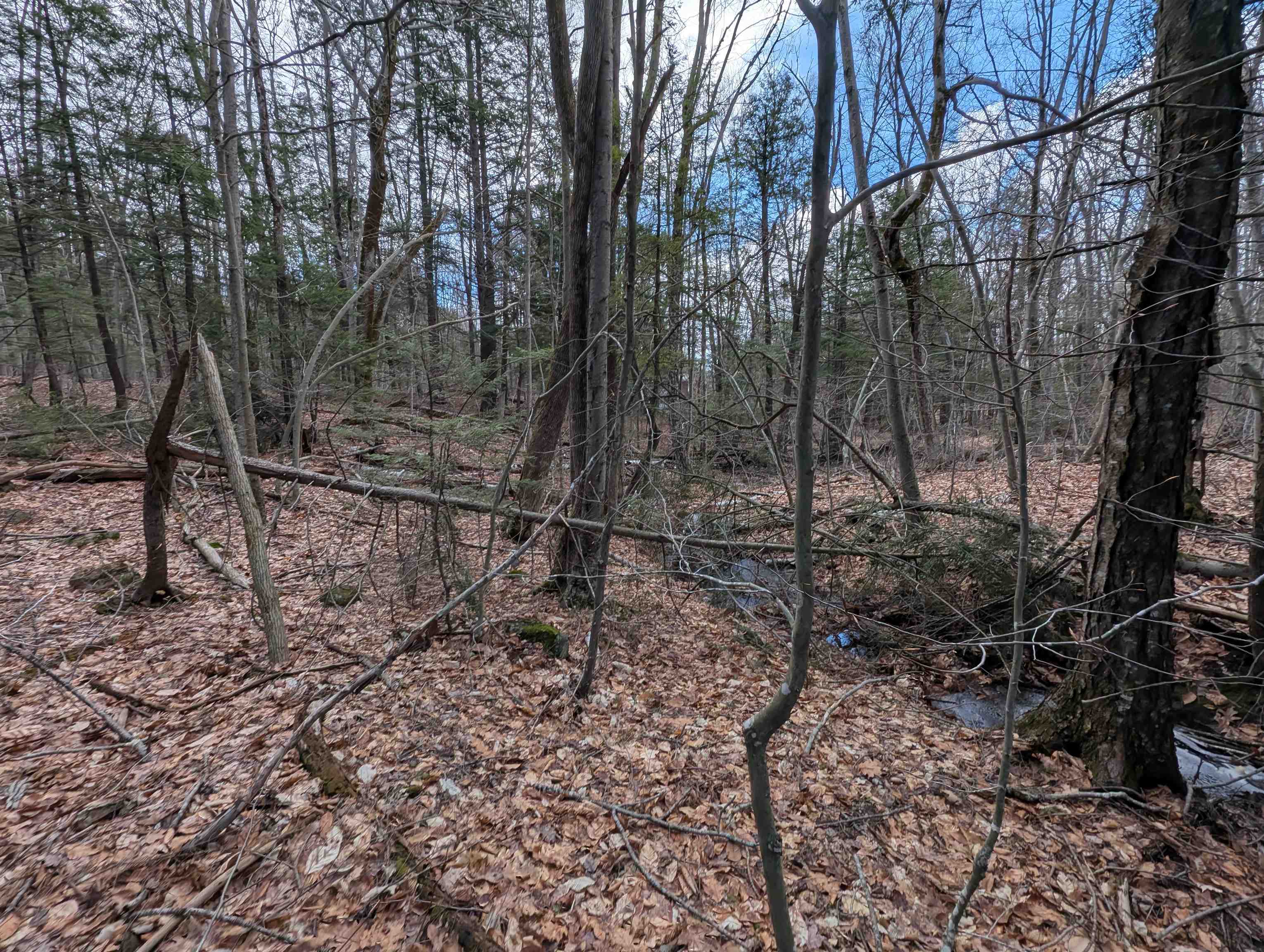 21 Jewett Road Weare, NH 03281 - Photo 5 of 18 Gallery Image 5
