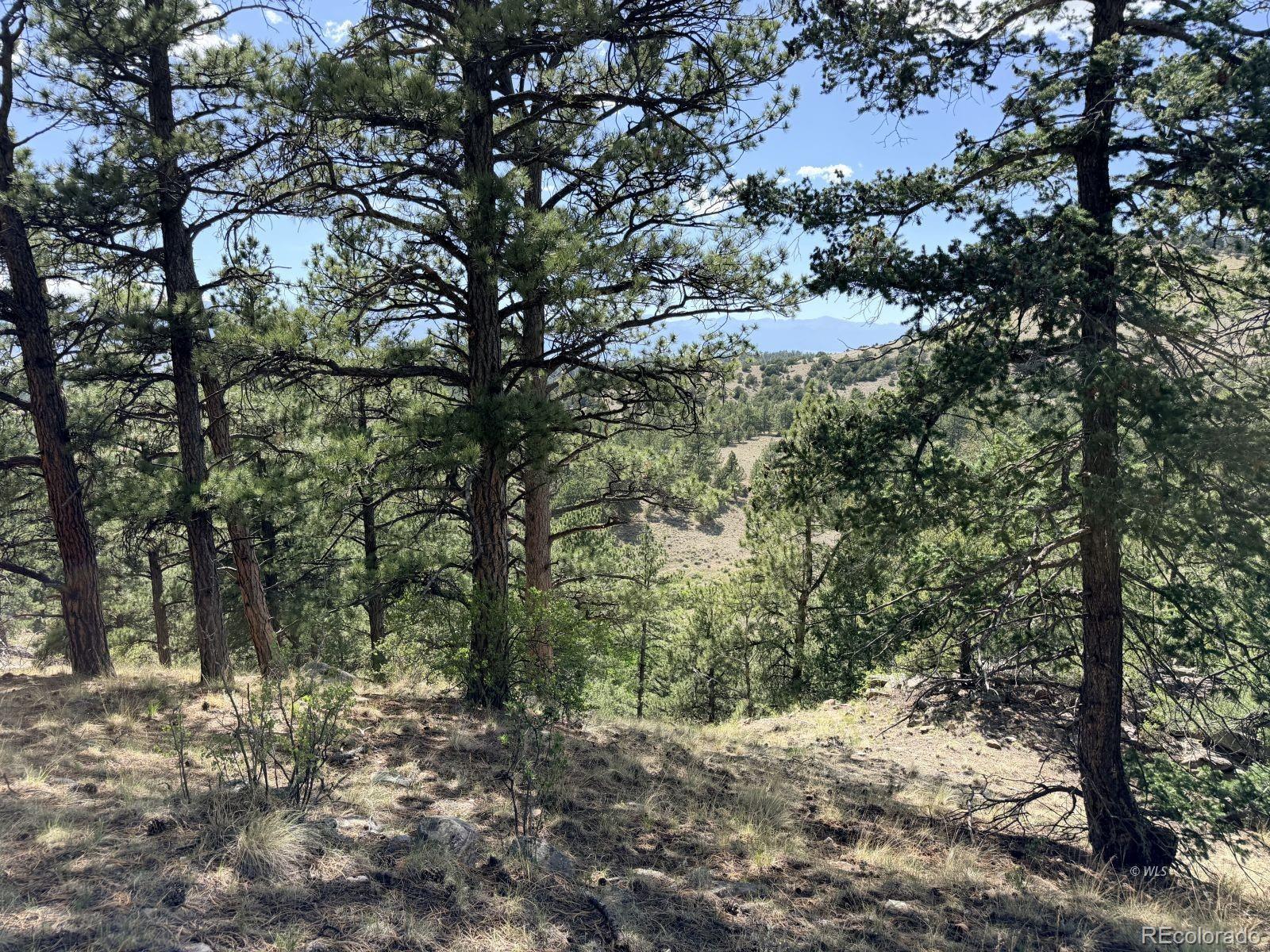 0 Schulze Ranch Road Westcliffe, CO 81252 - Photo 8 of 33