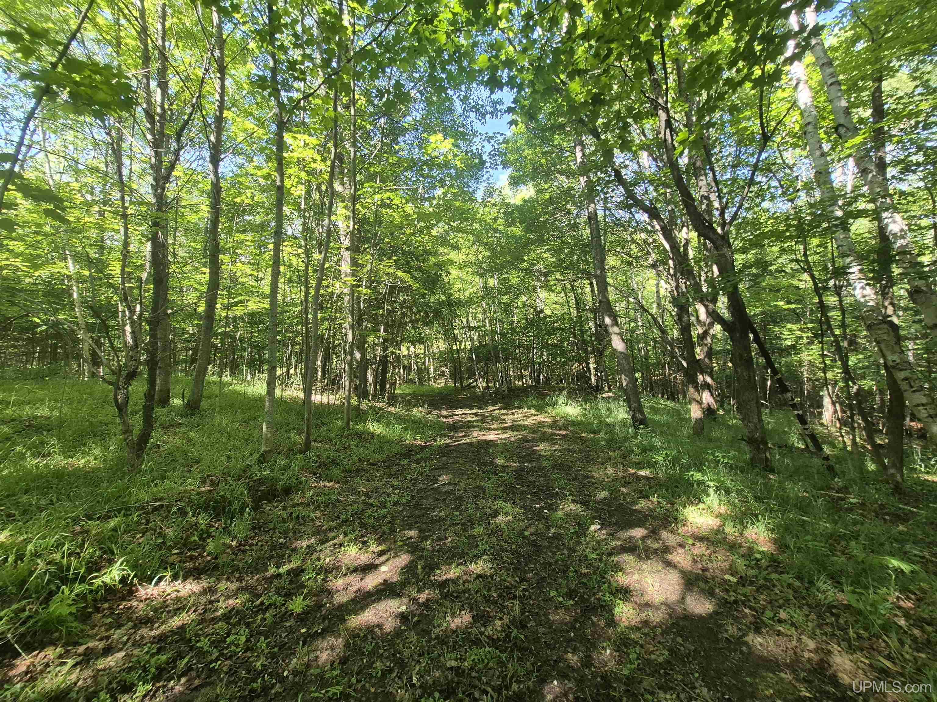8-acres Nestor Road Munising, MI 49862 - Photo 20 of 43
