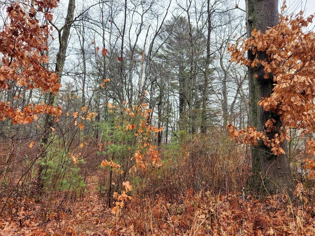 159 Lakeside Road Hanson, MA 02341 - Photo 1 of 2 Gallery Image 1