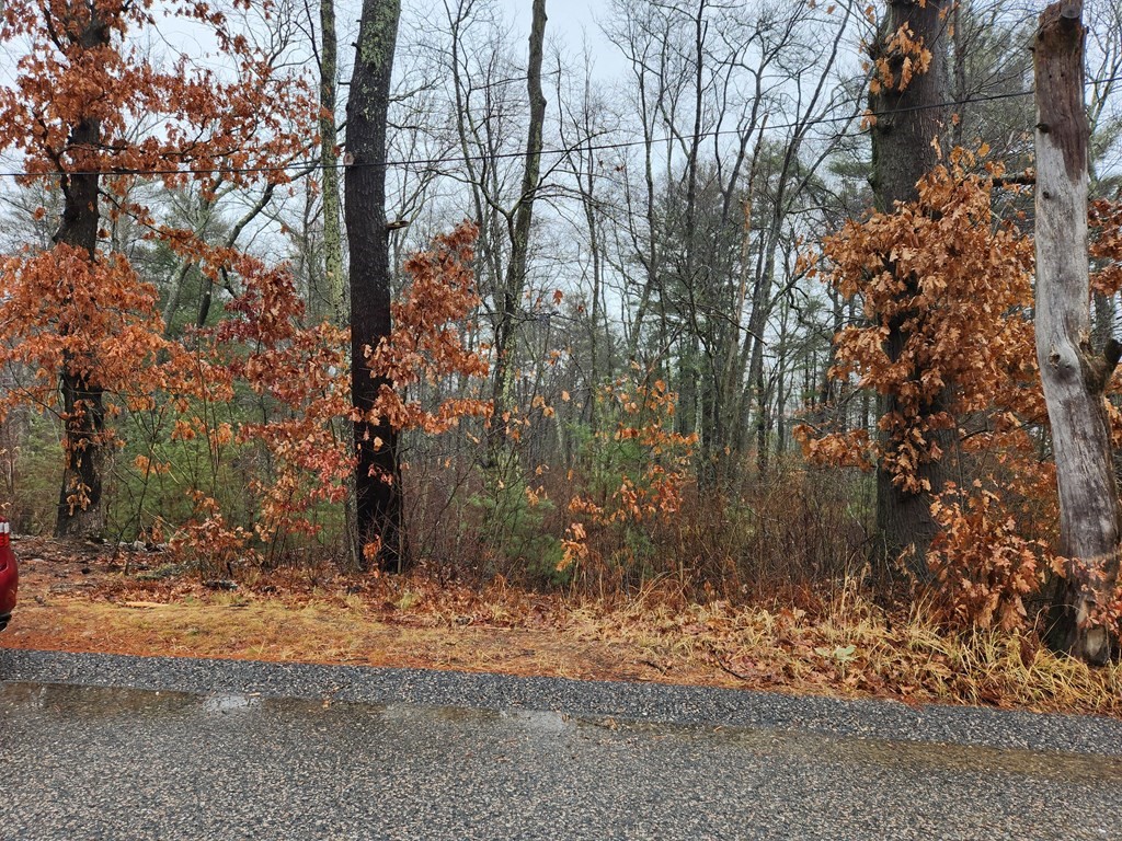 159 Lakeside Road Hanson, MA 02341 - Photo 2 of 2 Gallery Image 2