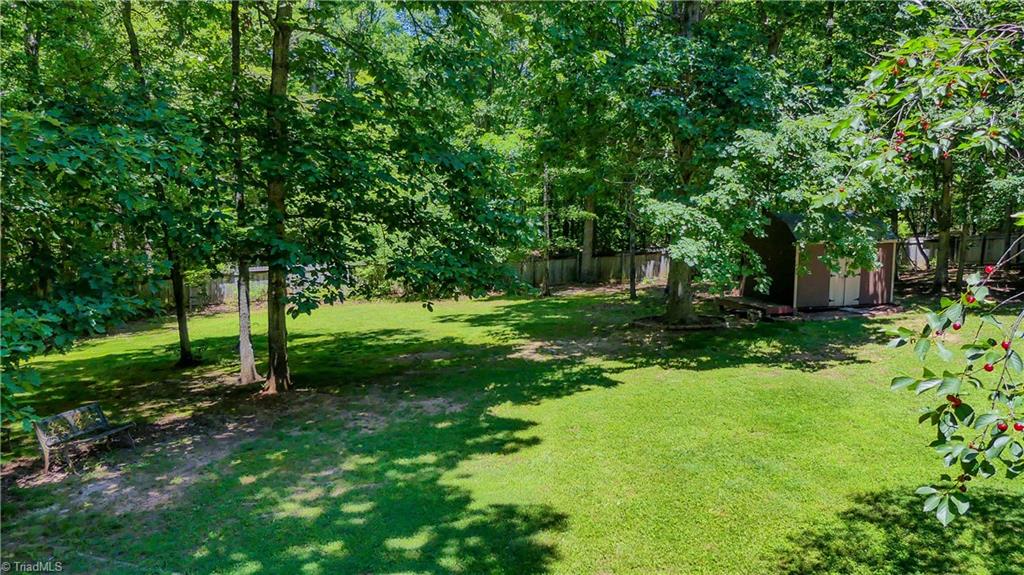 1130 Flinty Knoll Road Pinnacle, NC 27043 - Photo 24 of 29