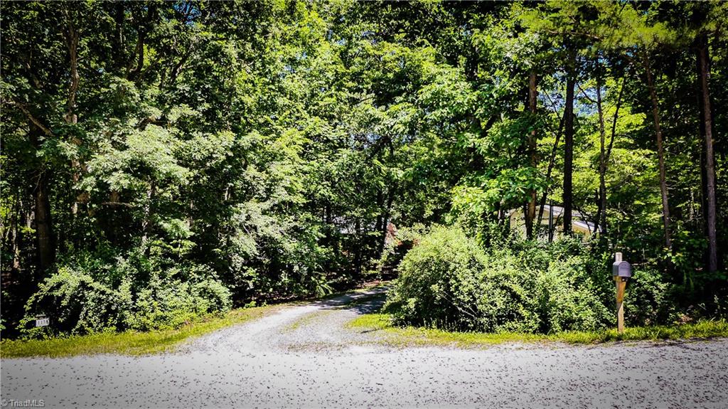 1130 Flinty Knoll Road Pinnacle, NC 27043 - Photo 27 of 29 The privacy!