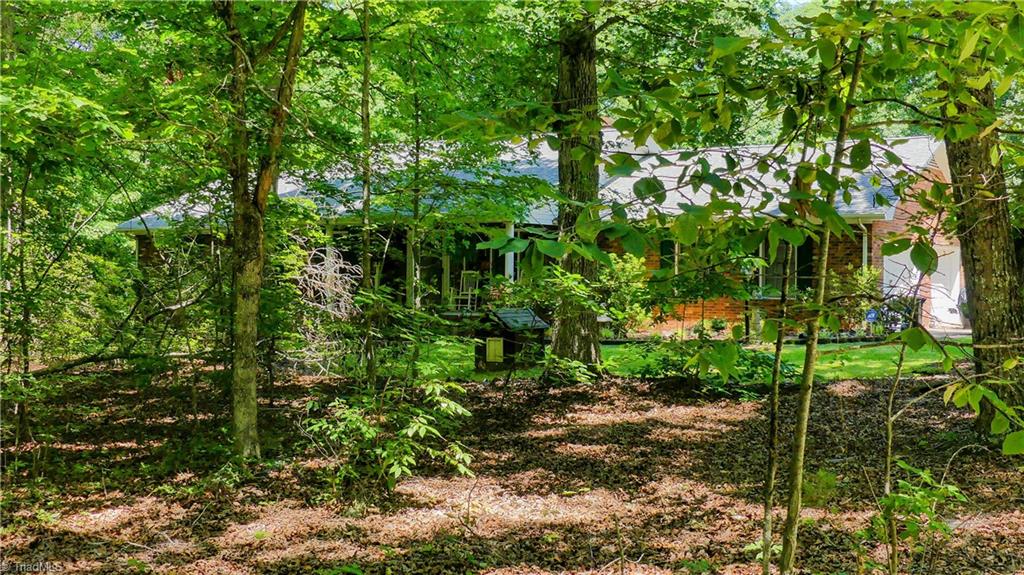 1130 Flinty Knoll Road Pinnacle, NC 27043 - Photo 5 of 29 Check out the privacy! And it's still only minutes to town.
