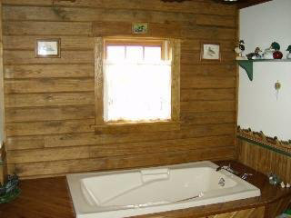 73 Rr 1 (newton) Weldon, IL 61882 - Photo 8 of 9 a bathroom with a bathtub and shower