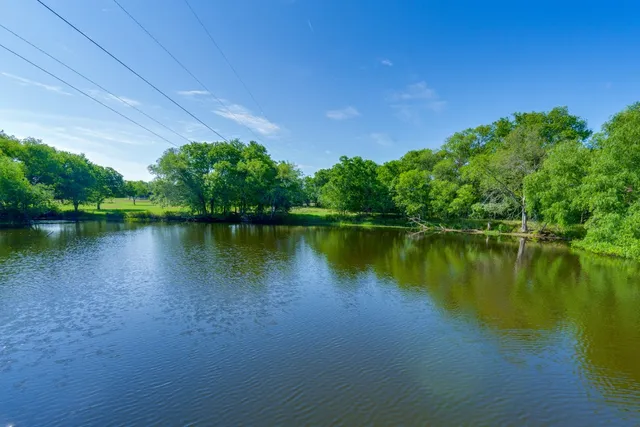 a view of a lake with plants and large trees