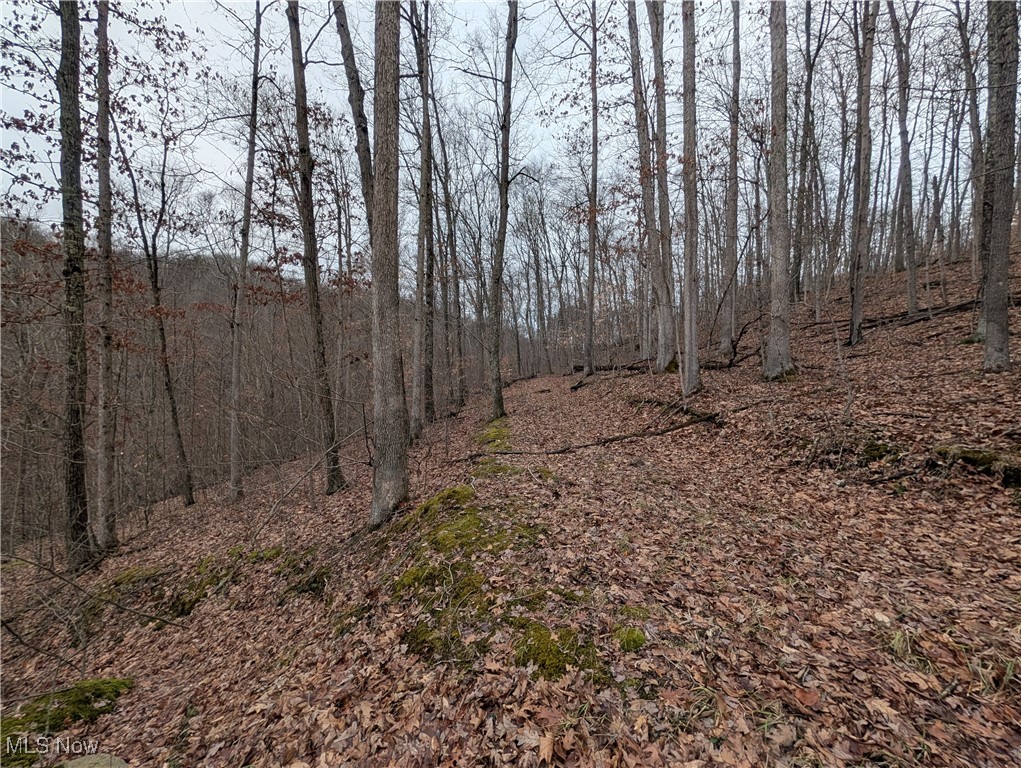 Brown Peavine Road Alledonia, OH 43902 - Photo 33 of 50