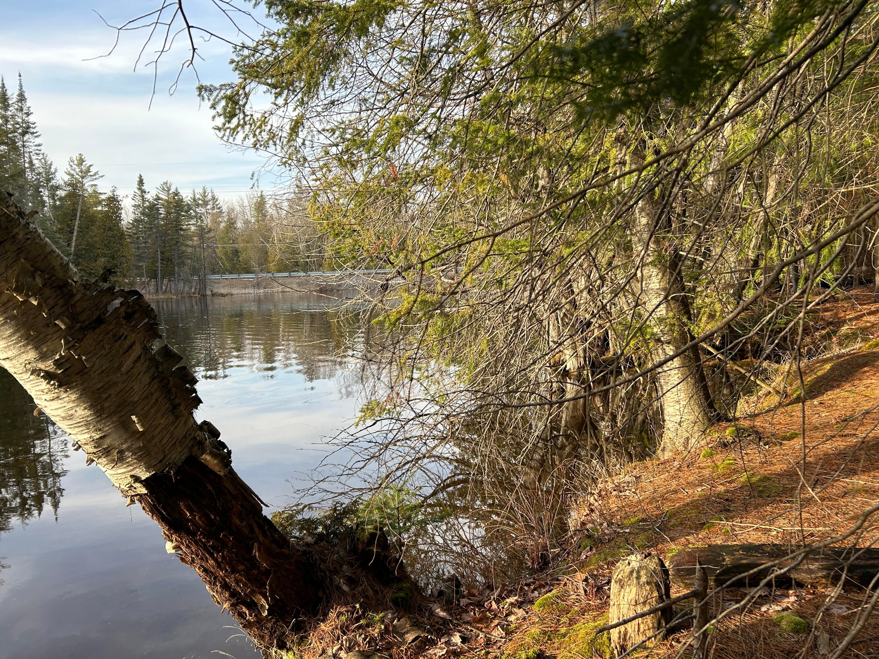 Long Rapids Alpena, MI 49707 - Photo 18 of 30 Gallery Image 18