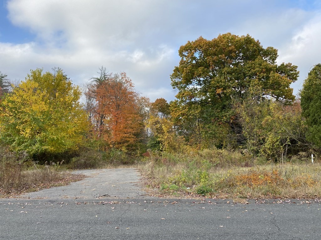 10 Peach Tree Road East Longmeadow, MA 01028 - Photo 3 of 3 Gallery Image 3