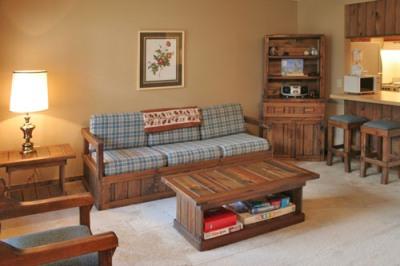 38 Ridgewood Street Snowshoe, WV 26209 - Photo 1 of 15 Living Room