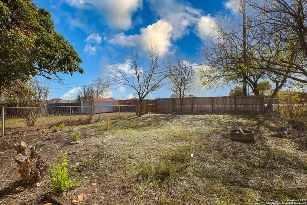 a view of backyard and tree