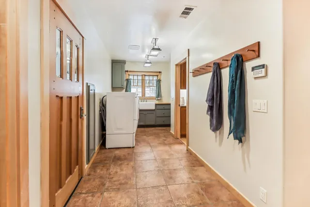 a view of a garden with plants and large trees